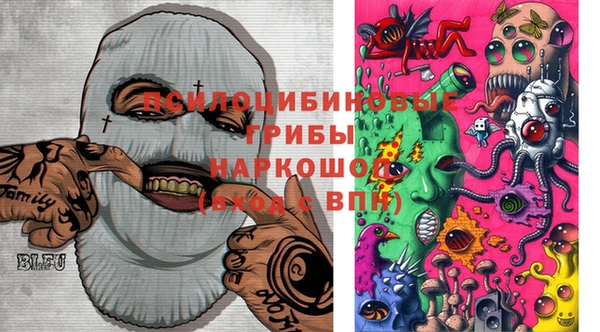 МДПВ Алзамай