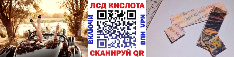 где можно купить наркотик  Пошехонье  Наркотические марки 1,8мг 
